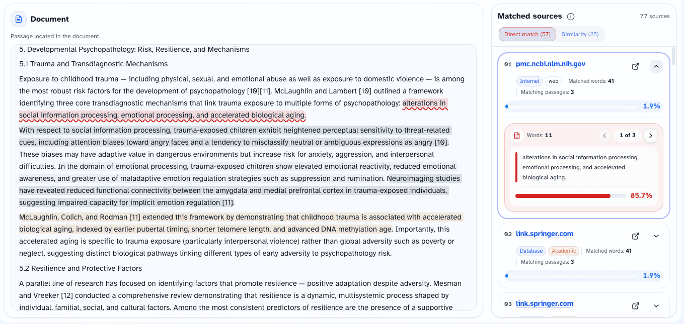 Revisy.ai Plagiarism Checker showing passage-level source matches in a literature review